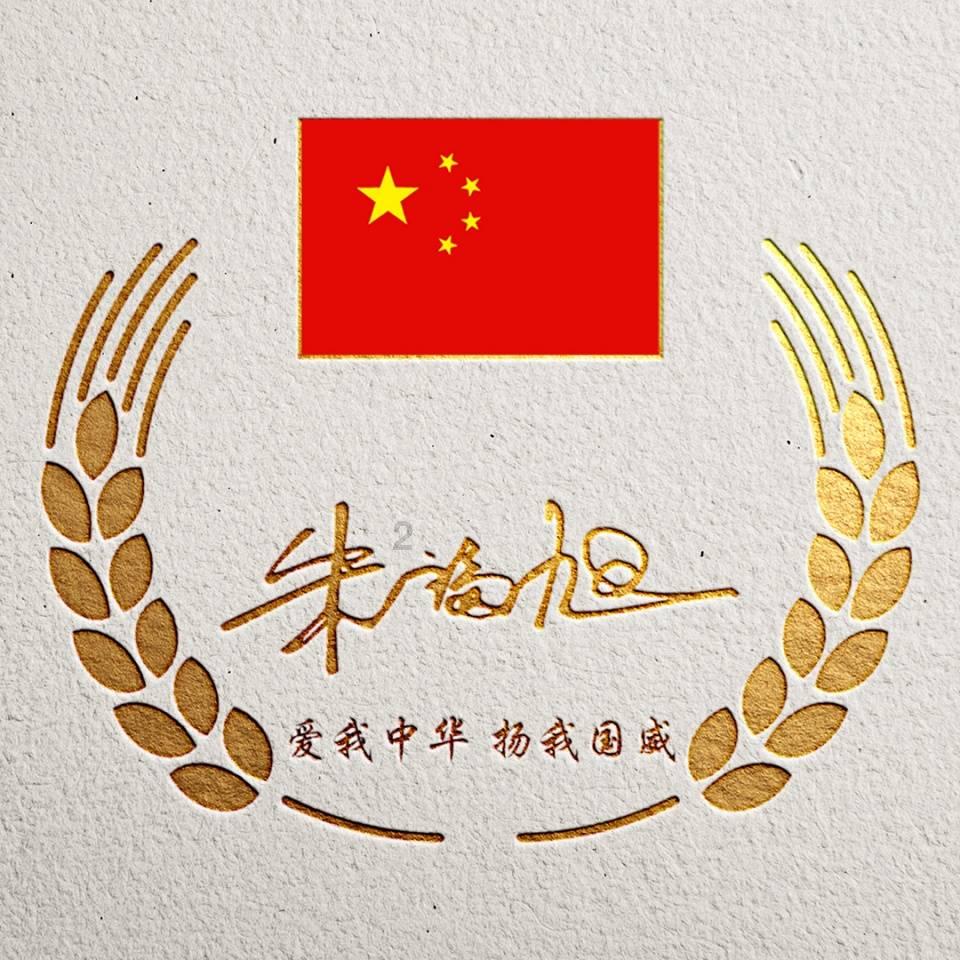 他自称溥仪堂弟，穿黄衣、束清辫，为保留祖先传统，向国家要故宫